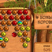 Божьи коровки