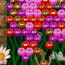 Вубисы пушистики